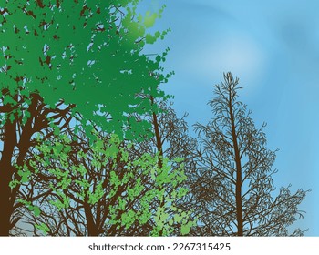 illustration with spring forest on light blue background