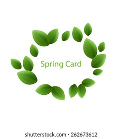 Illustration spring freshness card made in eco green leaves, isolated on white background - vector