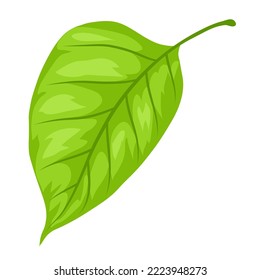 Ilustración de la hoja de primavera. Hermosa planta decorativa.