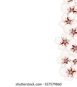 Illustration Spring Nature Background with Sakura Flowers Blossom - Vector