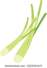 ilustração de cebolinha em um fundo branco