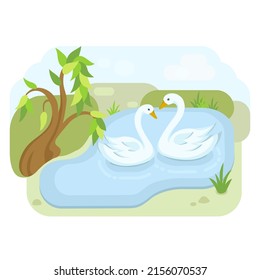 illustration of spring in the park - lake with swans and willow