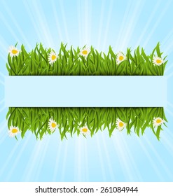 Illustration spring postcard with grass field and flowers chamomiles, copy space for your text - vector