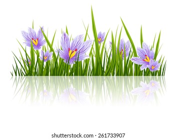 Illustration of Spring Purple Crocus Border, Copyspace