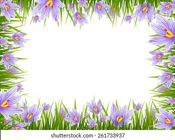 Illustration of Spring Purple Crocus Border, Copyspace