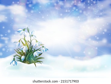 Illustration of spring snowdrop flowers in snowdrift with cloudy sky background
