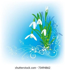 illustration with spring snowdrops