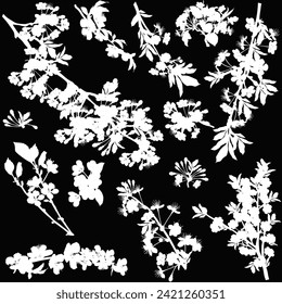 ilustración con ramas de flor de árbol de primavera aisladas en fondo negro