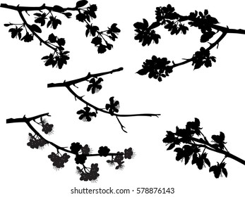 illustration with spring tree blossom branches collection isolated on white background