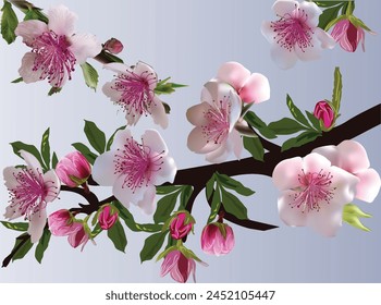 ilustración con la flor del árbol de primavera sobre fondo claro