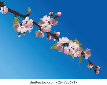 Ilustración con la flor del árbol de primavera sobre fondo azul