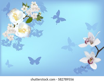 illustration with spring tree blossoming branch and butterflies