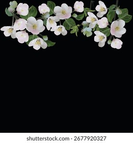 Ilustración con árbol de primavera floreciendo ramificado aislado sobre fondo negro