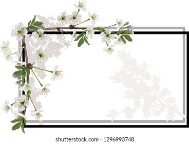 ilustración con ramas en floración de árboles primaverales en marco simple