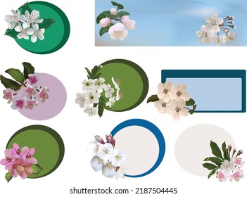 illustration with spring tree blossoms isolated on white background