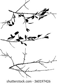 illustration with spring tree branches isolated on white background