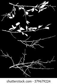 ilustración con ramas de árbol de primavera aisladas en fondo negro