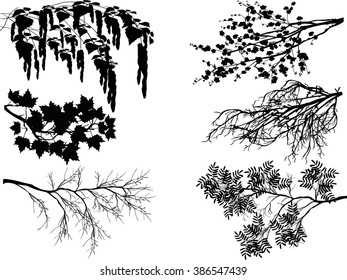 illustration with spring tree branches isolated on transparent background