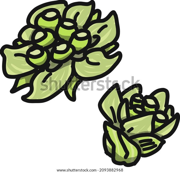 ふきのとう のイラスト素材 画像 ベクター画像 Shutterstock