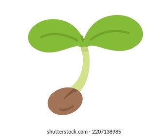 Ilustración de brotes brotados.