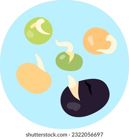 Ilustración de variedades brotadas de frijol
