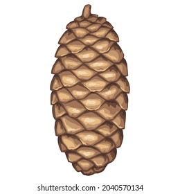 Illustration of spruce cone. Element for Christmas and New Year design. Decorative plant.