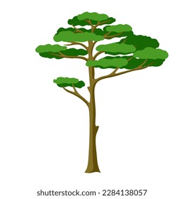 Illustration of spruce tree. Forest or park landscape element. Seasonal image.