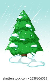 Illustration of spruce in the winter