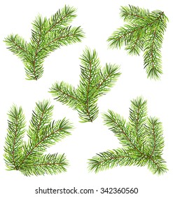 Illustration Spruces Branches Isolated on White Background. Traditional Elements for New Year Design - Vector