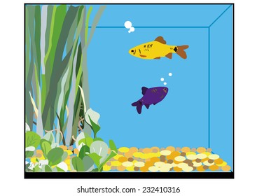 an illustration of a square fish tank with two fish, seaweeds and stones inside.