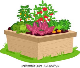 Illustration of a Square Garden Container Filled with Vegetables  of Different Types