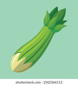 Illustration of Squash vegetable marrow zucchini . fresh green zucchini with leaves and flowers.  squash fruit illustration