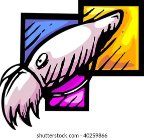 Illustration of a squid	