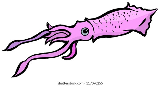 Illustration of the squid on the white background