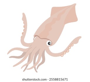 Illustration of a squid swimming in the sea