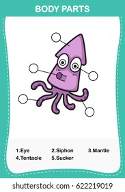 Illustration of squid vocabulary part of body,Write the correct numbers of body parts.vector