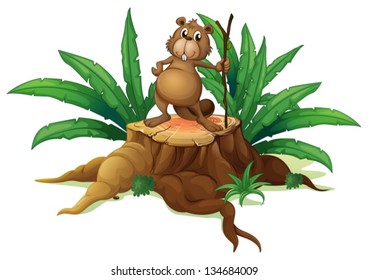 Illustration of a squirrel above a trunk on a white background