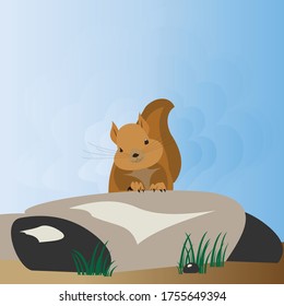 Illustration squirrel. cute forest wild animal standing on a stone vector squirrel