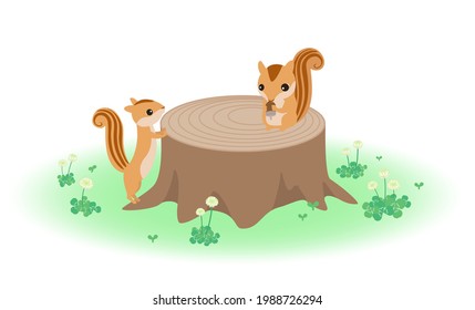 Illustration of a squirrel eating an acorn and a squirrel looking at it in a forest where white clover blooms. Vector illustration.