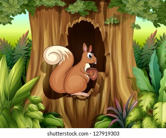 Illustration of a squirrel in the forest