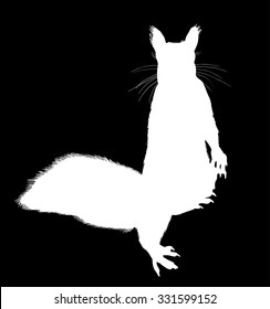 illustration with squirrel isolated on black background
