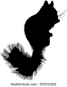illustration with squirrel isolated on white background