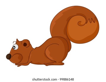 Ilustración de una ardilla sobre blanco