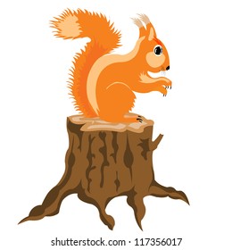 Illustration of the squirrel on white background is insulated