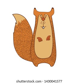 Illustration of a squirrel on a white background.