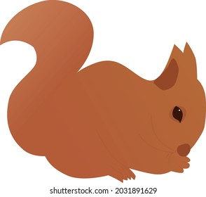 Illustration of a squirrel on a white background. Orange, brown squirrel, wild life image, wild animals, ready to use, eps. For your design