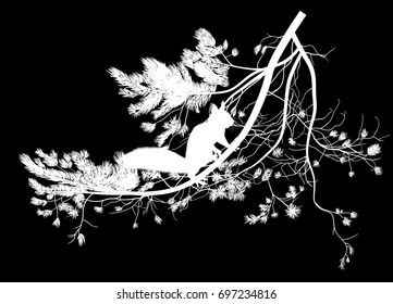 illustration with squirrel and pine tree branch isolated on black background
