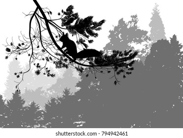 illustration with squirrel and pine tree branch in grey forest isolated on white background