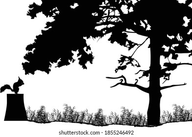 illustration with squirrel silhouette near large tree isolated on white background