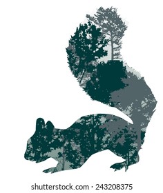 illustration with squirrel silhouette from trees branches isolated on white background